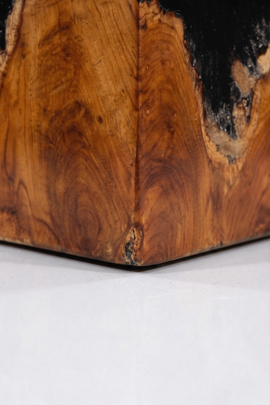 Teak Black Resin End Table