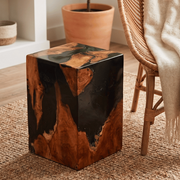 Teak Black Resin End Table